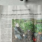 Local Palm dans le journal ouest france