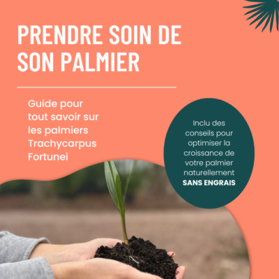 Guide pratique palmier chanvre